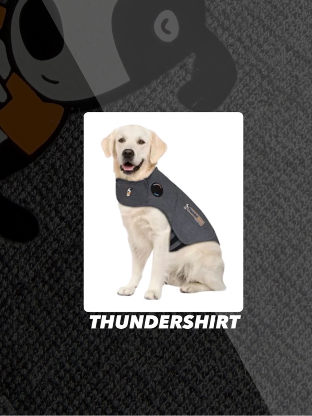 EUC ThunderShirt Dog Anxiety Shirt